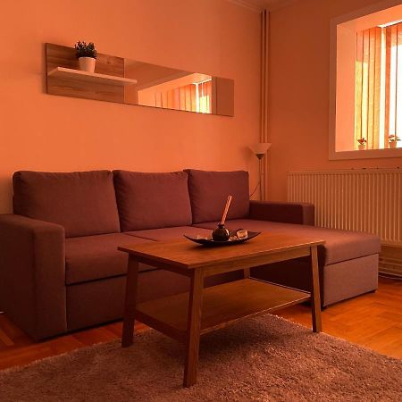 Soho Apartment Fagaras - 1 Bedroom & Extensible Couch ภายนอก รูปภาพ